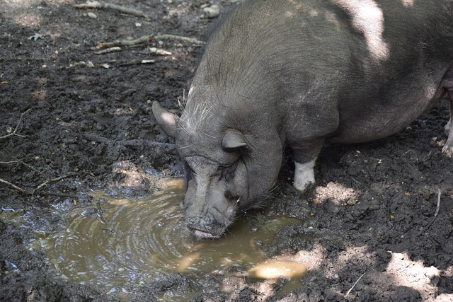 导演的视角 导演的视角