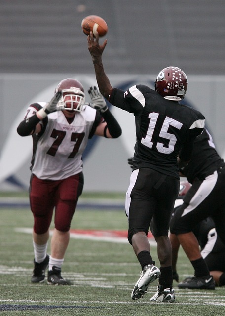 真正的竞技 真正的竞技