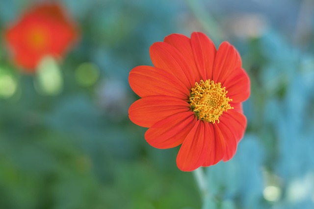 平台姿态 平台姿态