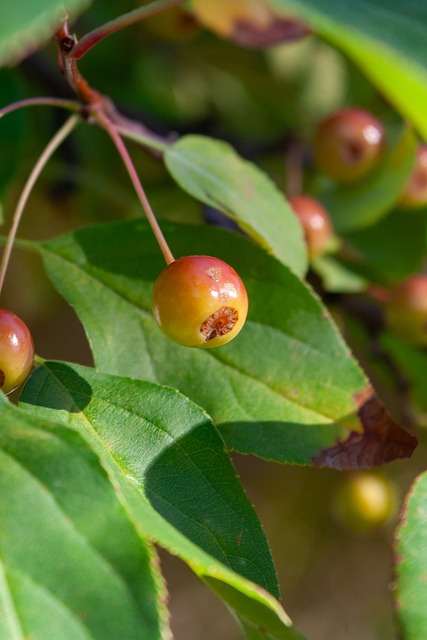 在伊蒂哈德 在伊蒂哈德