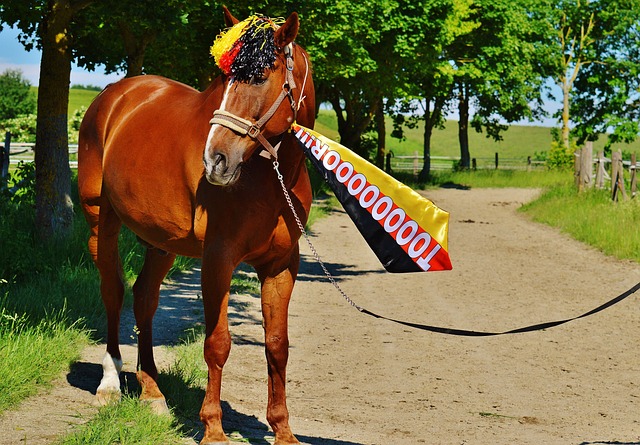 依然有潜力 依然有潜力