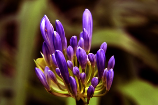 科技的力量 科技的力量