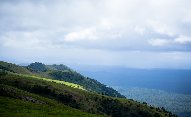 赛都为选手 赛都为选手