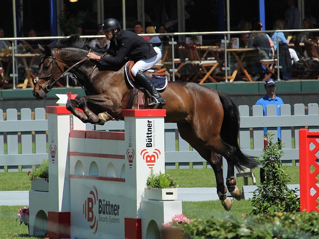 球迷记忆中 球迷记忆中